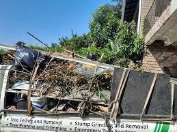 Best Hoarding Cleanup  in Frederick, MD