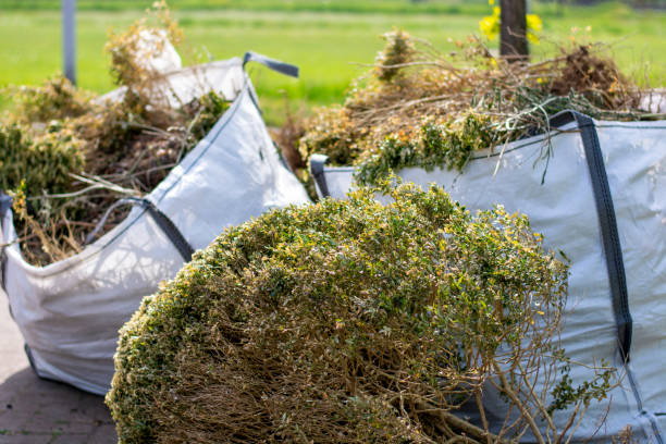 Best Dumpster Rental Services  in Frederick, MD